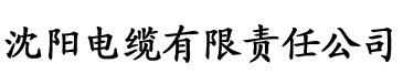 阿斌的幸福生活电缆厂logo